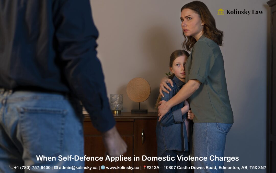 When Self-Defence Applies in Domestic Violence Charges